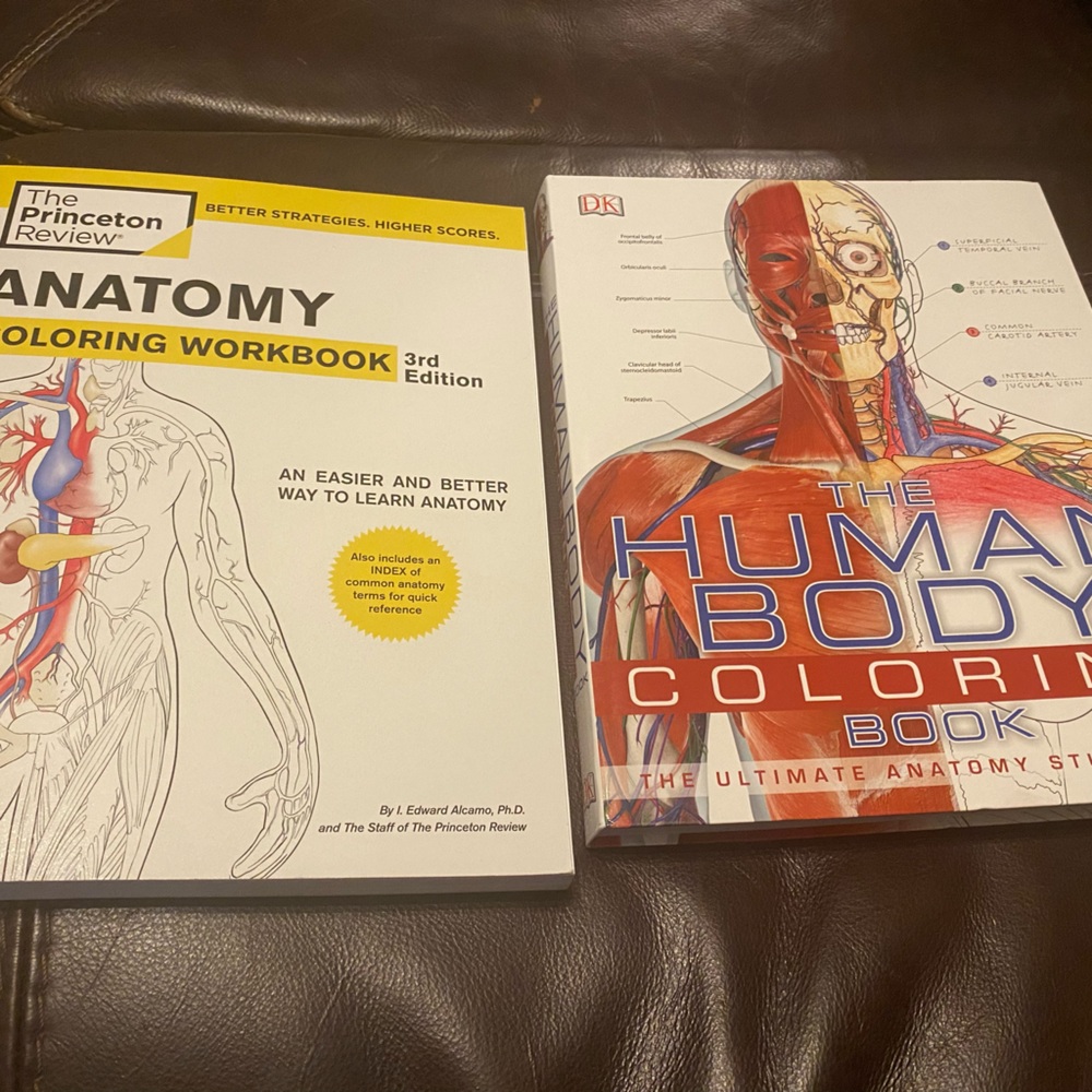 Anatomy Coloring Books